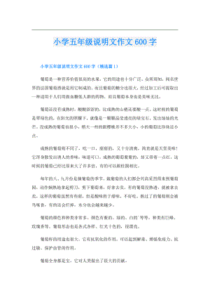 小学五年级说明文作文600字.doc