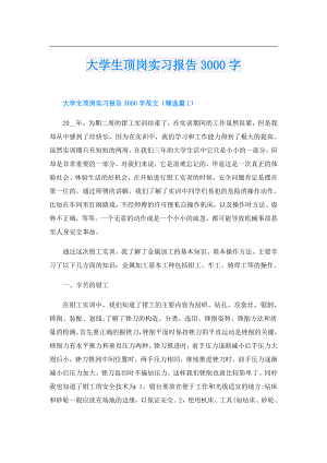 大学生顶岗实习报告3000字.doc