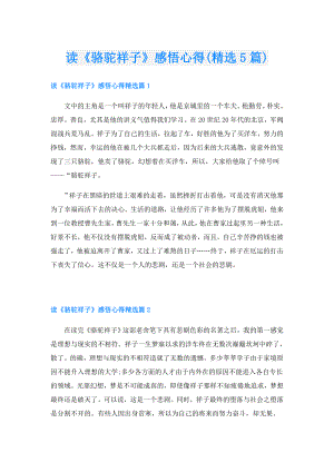 读《骆驼祥子》感悟心得(精选5篇).doc