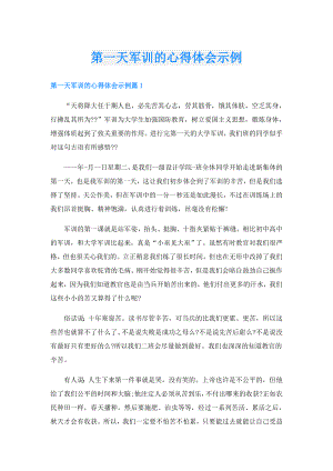 第一天军训的心得体会示例.doc