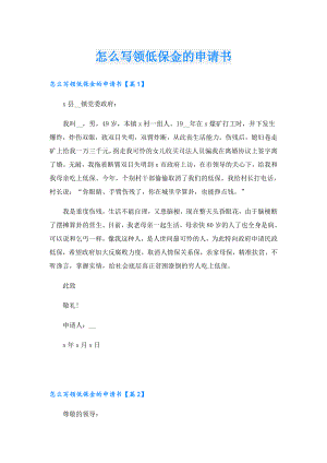 怎么写领低保金的申请书.doc