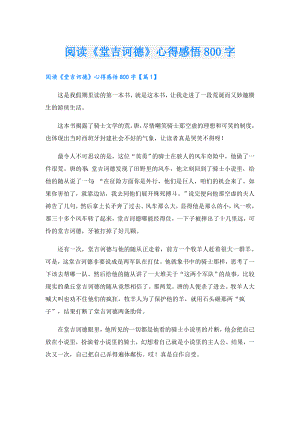 阅读《堂吉诃德》心得感悟800字.doc