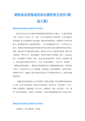 钢铁是怎样炼成的读后感的美文佳作(精选5篇).doc