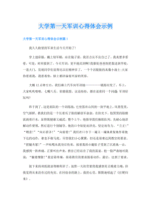 大学第一天军训心得体会示例.doc