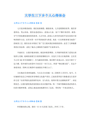 大学生三下乡个人心得体会.doc