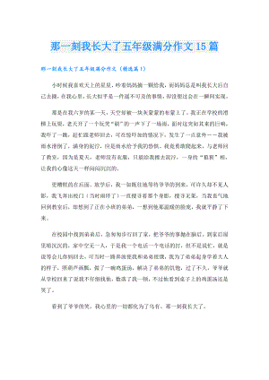 那一刻我长大了五年级满分作文15篇.doc