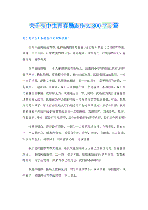 关于高中生青励志作文800字5篇.doc
