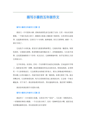 描写小猫的五年级作文.doc