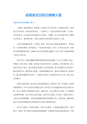 汤姆索亚历险记梗概6篇.doc