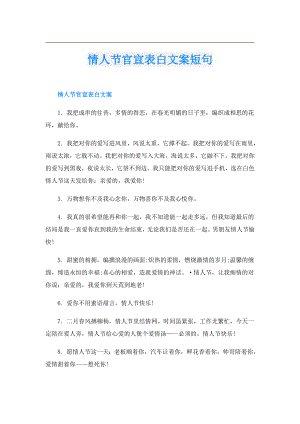 情人节官宣表白文案短句.doc