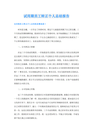 试用期员工转正个人总结报告.doc