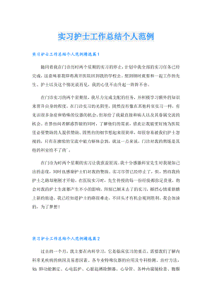 实习护士工作总结个人范例.doc