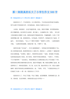 那一刻我真的长大了小学生作文500字.doc