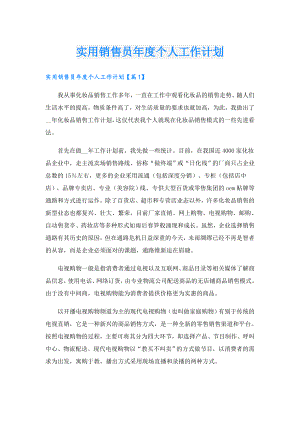 实用销售员个人工作计划.doc