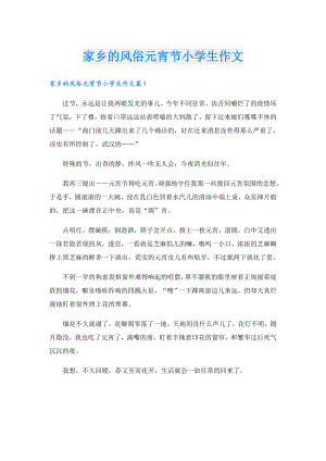 家乡的风俗元宵节小学生作文.doc