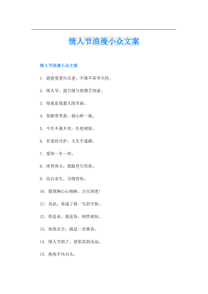 情人节浪漫小众文案.doc