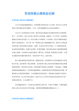 军训所获心得体会示例.doc