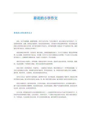 荷花的小学作文.doc