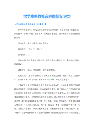 大学生寒假社会实践报告2023.doc