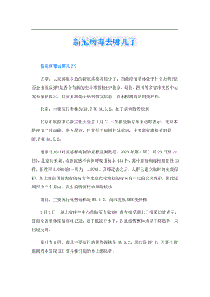 新冠病毒去哪儿了.doc