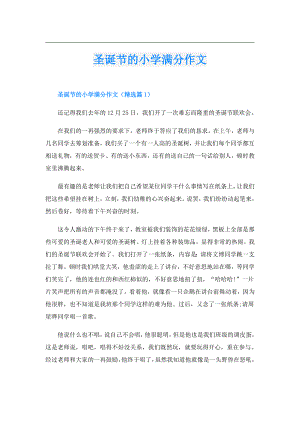 圣诞节的小学满分作文.doc