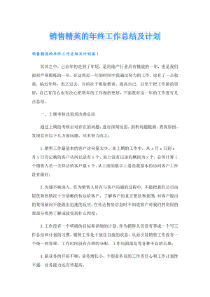 销售精英的年终工作总结及计划.doc