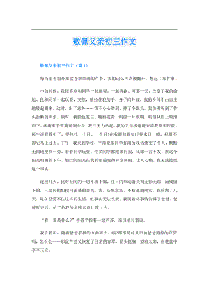 敬佩父亲初三作文.doc