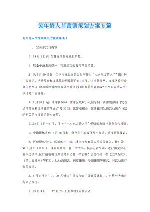 兔年情人节营销策划方案5篇.doc