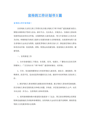 宣传的工作计划书5篇.doc