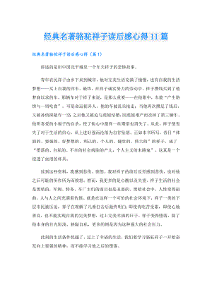 经典名著骆驼祥子读后感心得11篇.doc