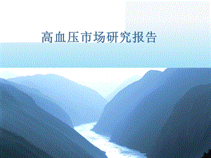 高血压市场研究报告.ppt