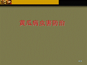 黄瓜病虫害防治用.ppt