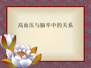高血压与脑卒中的关系.ppt