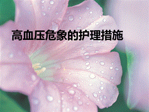 高血压危象的护理措施.ppt