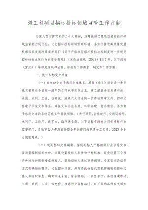 强工程项目招标投标领域监管工作方案.docx