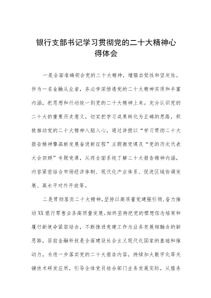 银行支部书记学习贯彻党的二十大精神心得体会八篇.docx