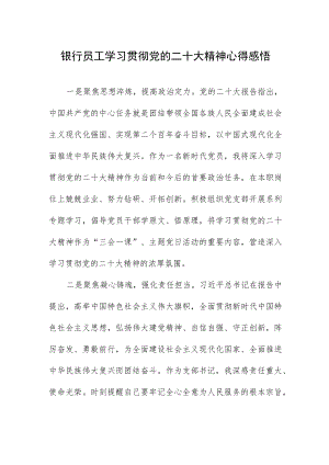 银行员工学习贯彻党的二十大精神心得感悟.docx