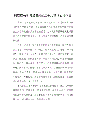 刑庭庭长学习贯彻党的二十大精神心得体会.docx