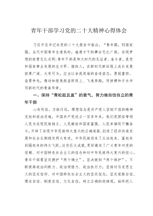 青年干部学习党的二十大精神心得体会.docx