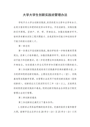 大学大学生创新实践班管理办法.docx