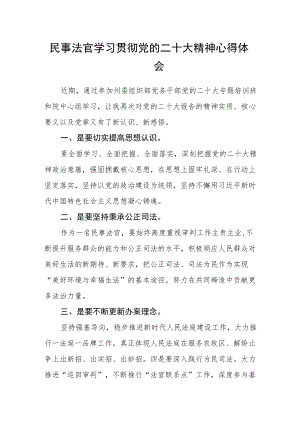 民事法官学习贯彻党的二十大精神心得体会.docx