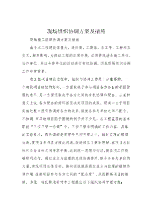 现场组织协调方案及措施.docx