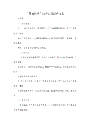 “种植活动”综合实践活动方案.docx