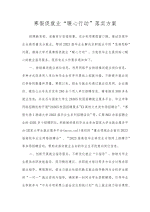 寒假促就业“暖心行动”落实方案.docx