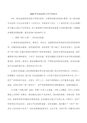 2023年纪检监察工作计划要点.docx