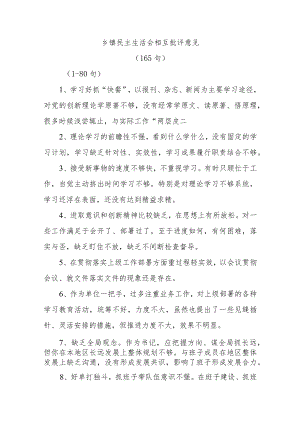 (165条)乡镇民主生活会相互批评意见.docx