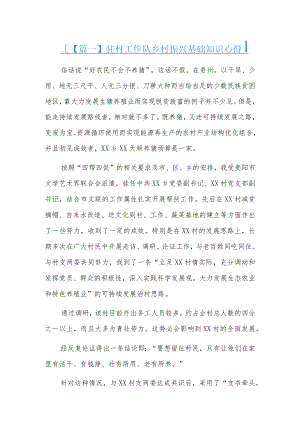 驻村工作队乡村振兴基础知识心得5篇.docx