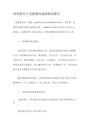 局党组关于巡察整改进展情况报告.docx