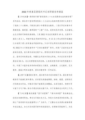 2022年度基层团组织书记述职报告供借鉴.docx