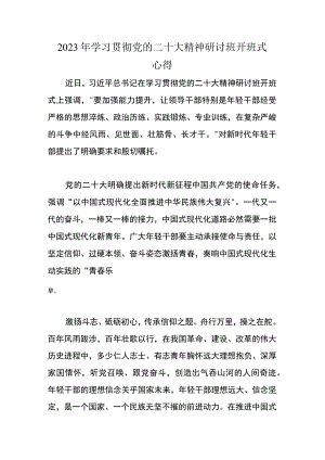 2023年贯彻党的二十大精神研讨班学习心得（六篇）.docx